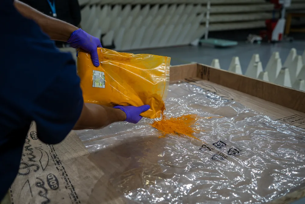 Gloved hands pouring turmeric extract onto a tray inside the chamber