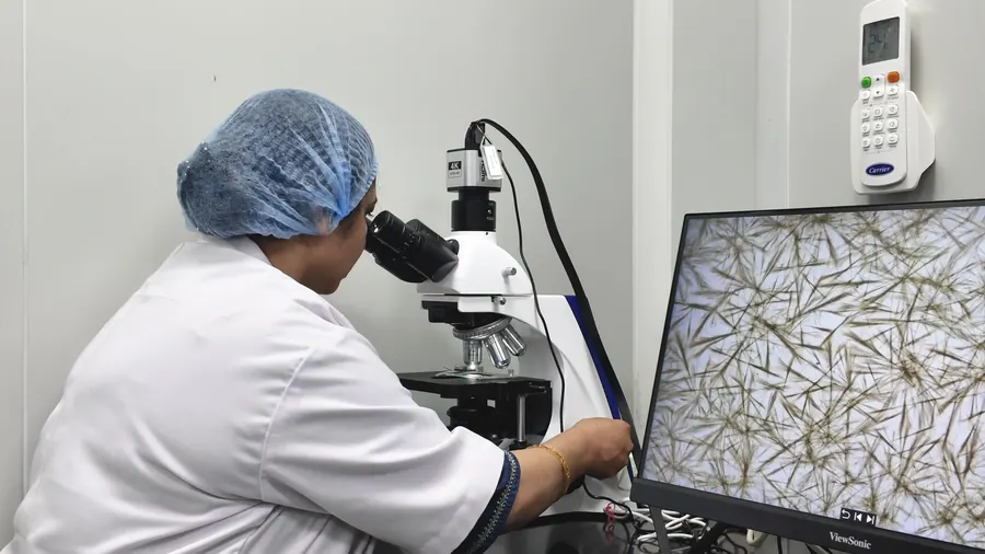 A scientist at the microscope, plant cells on the monitor