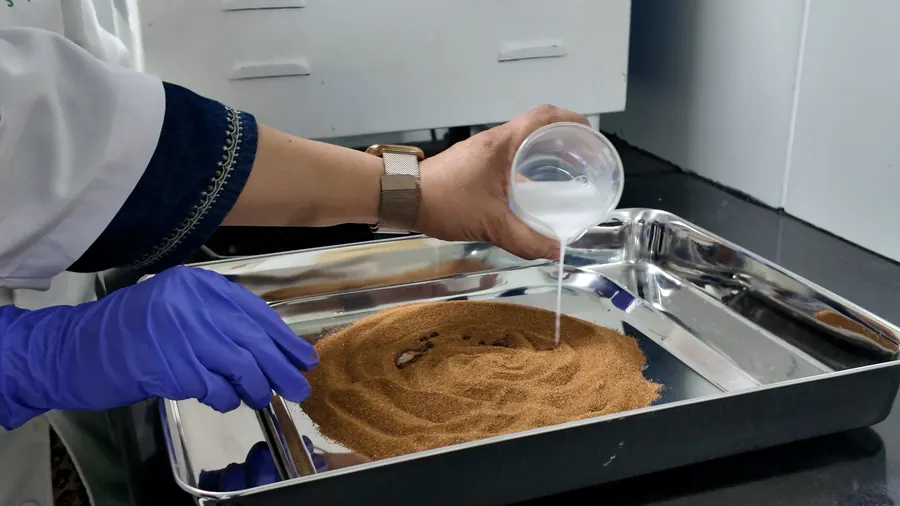 A scientist pouring liquid onto a botanical powder in a steel tray