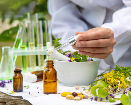 Ashwagandha roots, leaves and berries used in medicinal preparations