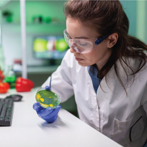 GreenSpace Herbs scientist at work in laboratory