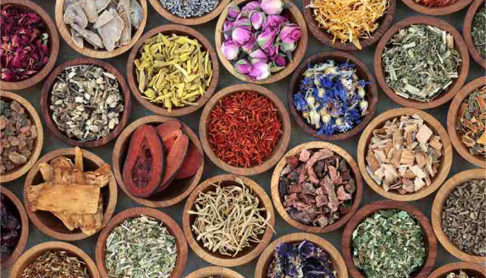 Greenspace quantum approach to Ayurveda
