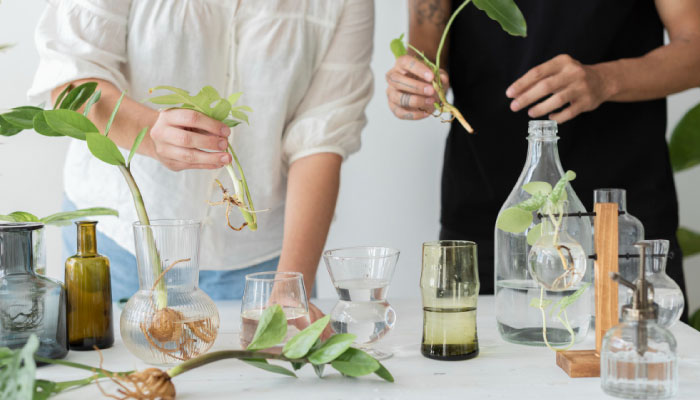 Resonance R and D commercial engine for field-enhanced botanicals