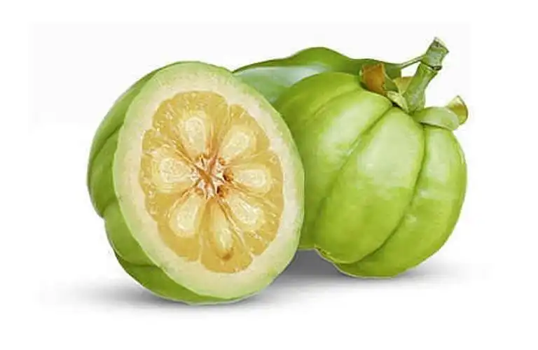 Garcinia cambogia (Vrikshamla) extract