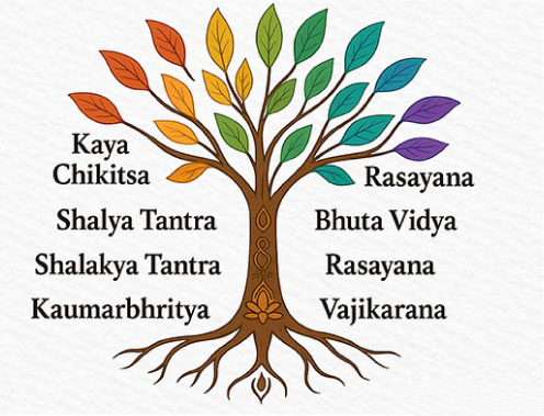 The eight branches of Ayurveda
