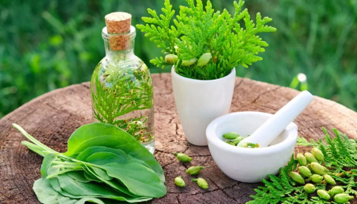 Greenspace Herbs opens US base