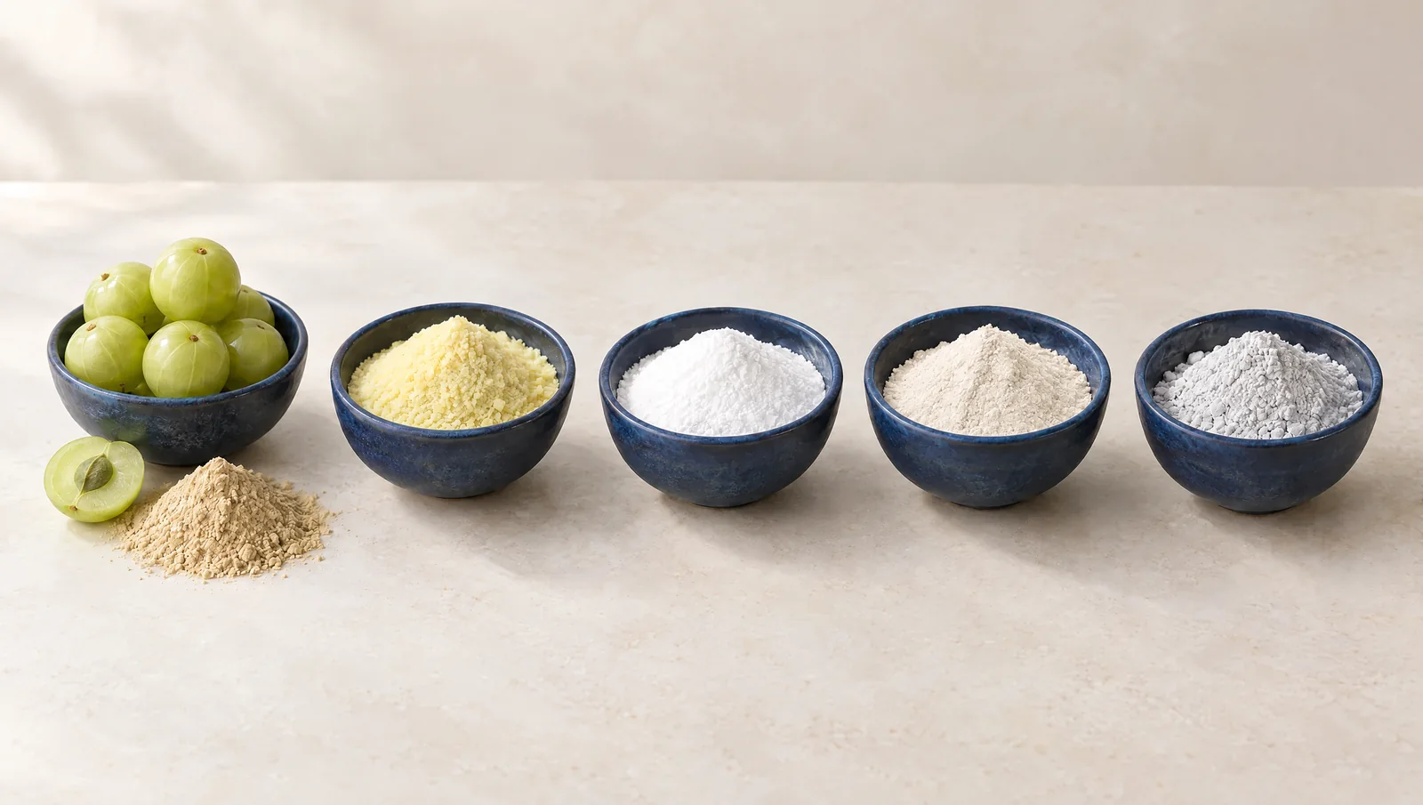 The five actives in bowls: Amla (Phyllanthus emblica), alpha lipoic acid, thiamine, vitamin B12 and magnesium